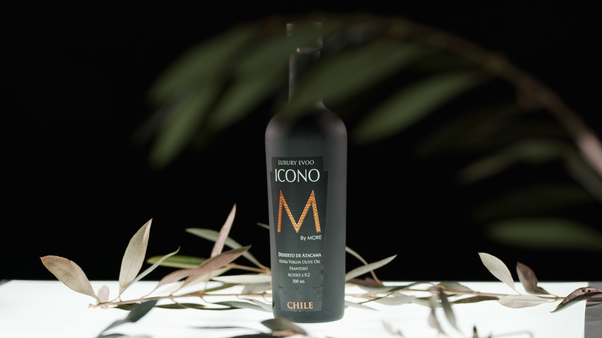 By More Aceite Icono By More Aceite Icono